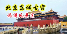 乱伦21p中国北京-东城古宫旅游风景区